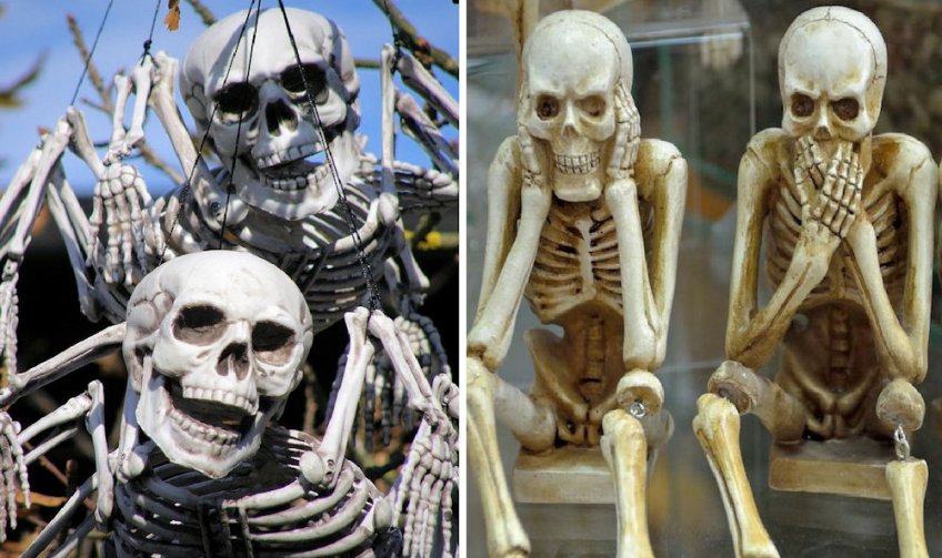 Skeletons