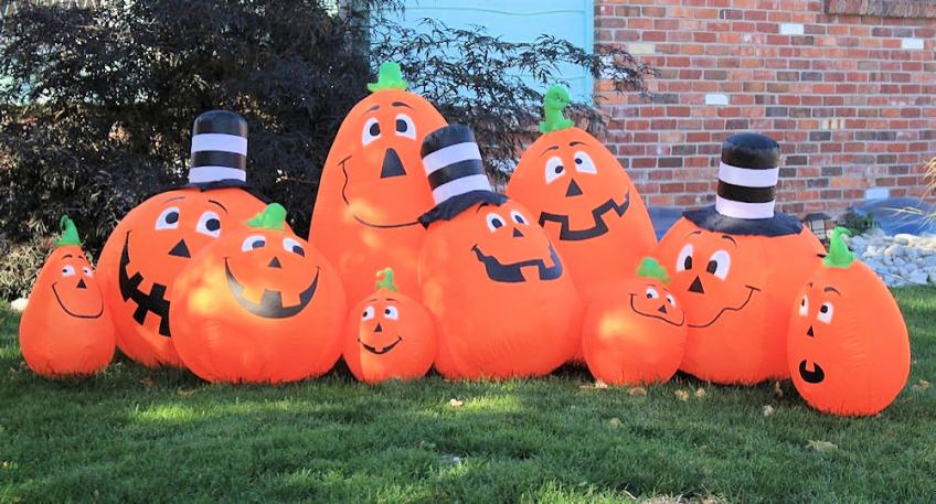 Pumpkin Patch Nice