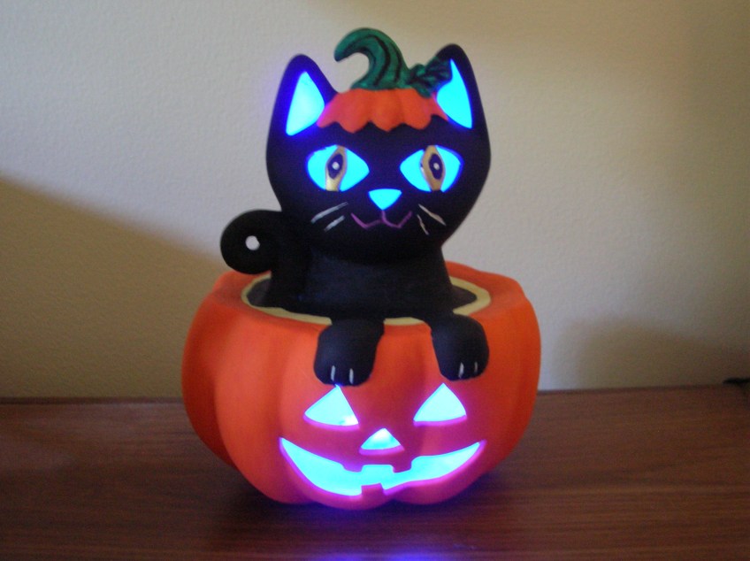 Lit Cat in Pumpkin