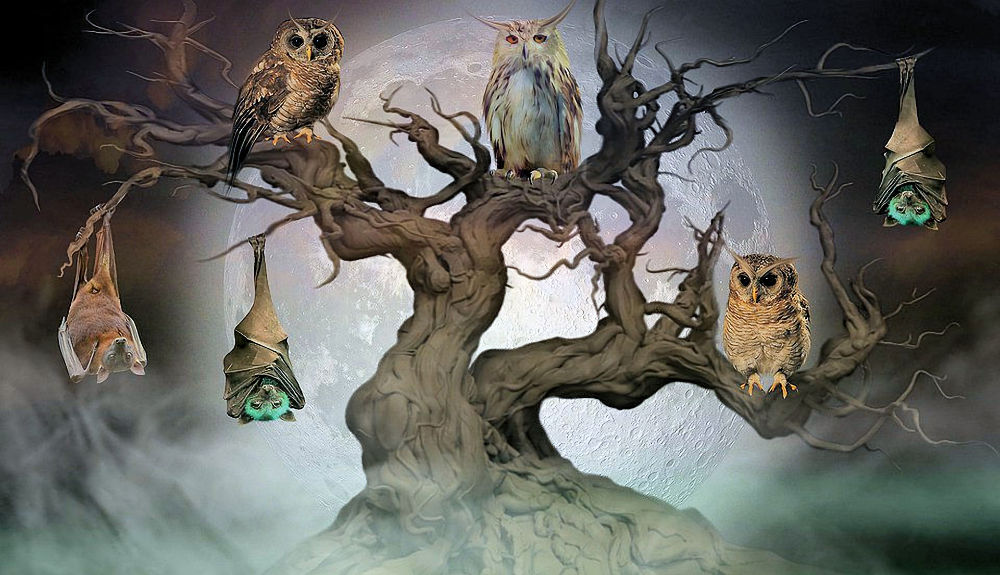 Halloween Owls & Bats in Tree Naughty