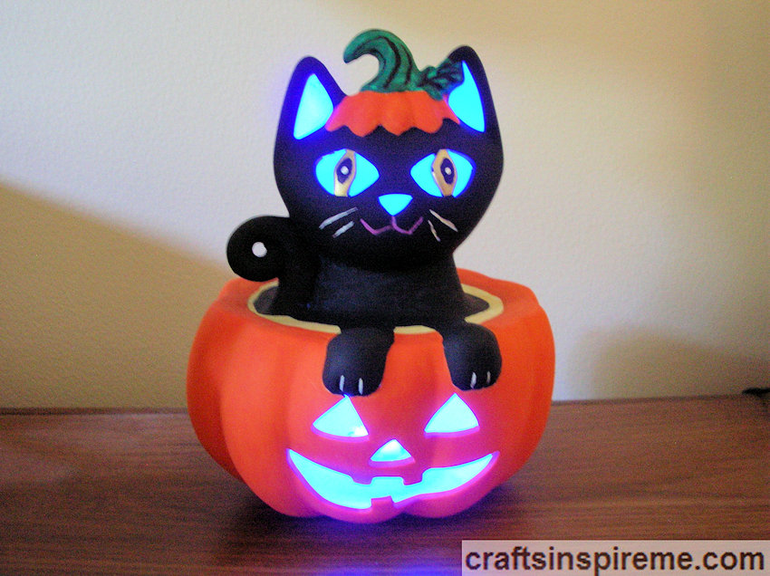 Lit Cat in Pumpkin
