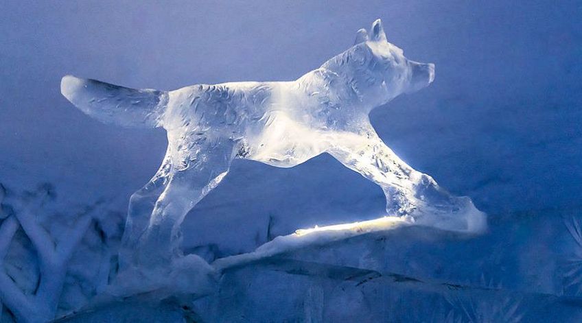 Ice Hotel Bar Wolf Sculpture