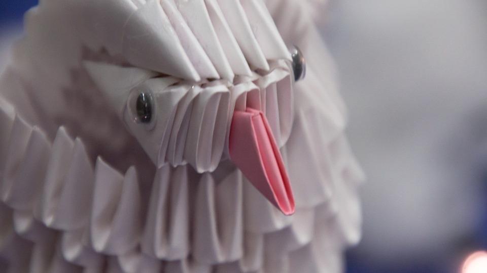 3D Bird Close Up