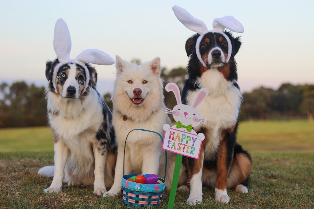 Easter Dogs