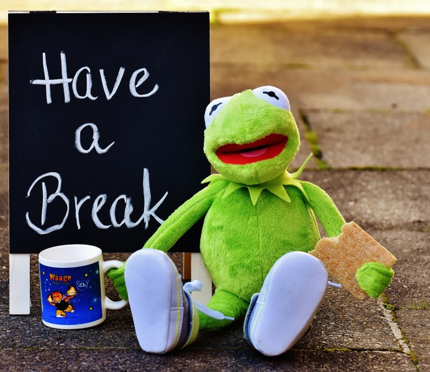 Spring Break Kermit