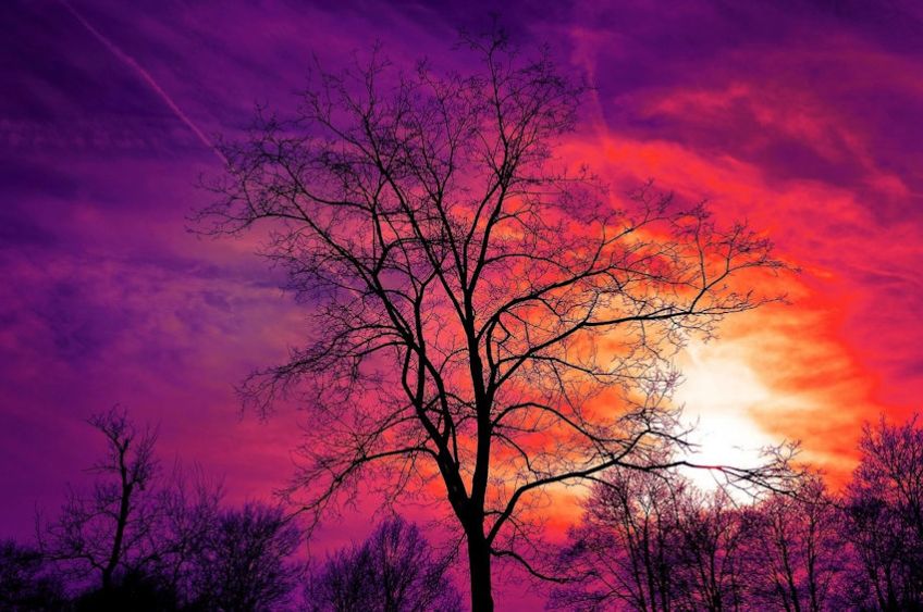 Colorful Sunset