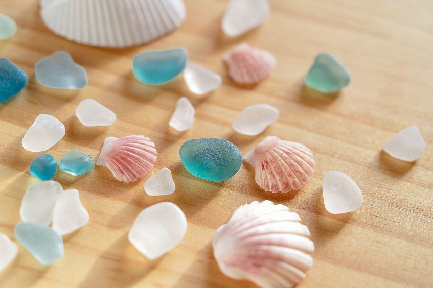 Collections Sea Glass & Shells
