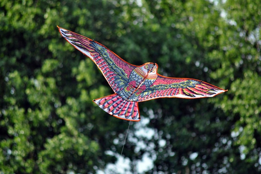 Kite Building