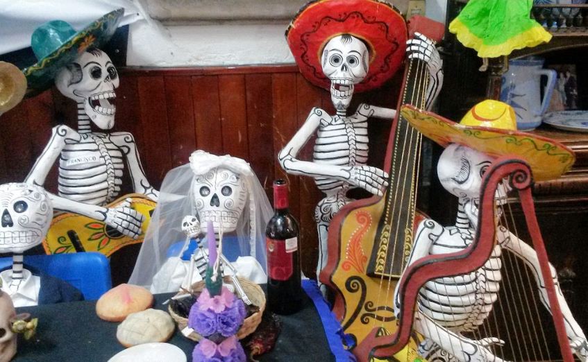 Kid Friendly Skeletons