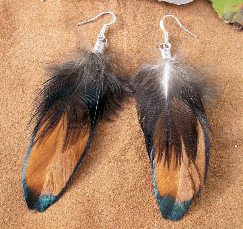 Feather Earrings