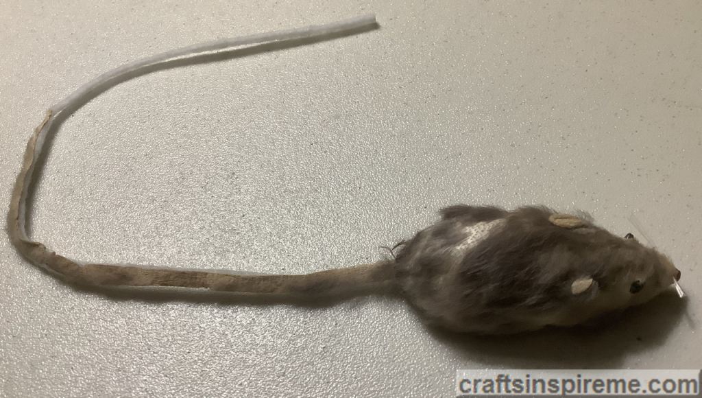 Close Up - Needs Fur