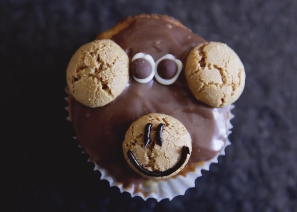 Chocolate Dipped & Cookies