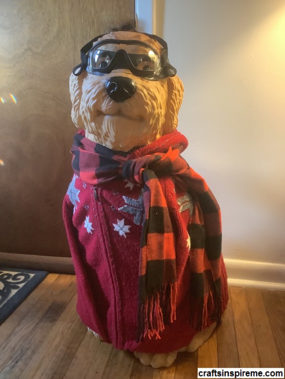 Dog Ski Goggles