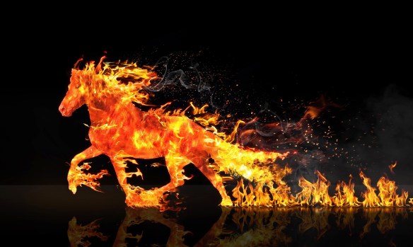Year of the Fire Horse