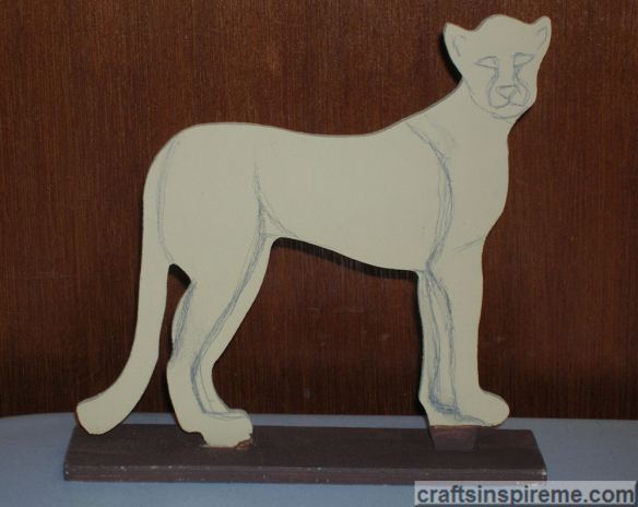 Cheetah Drawn Details