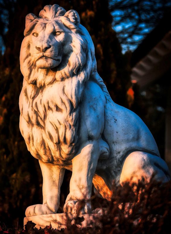 Lion Sculpture
