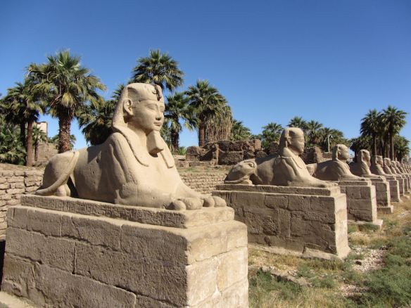 Lion Ancient Egypt Sphinx