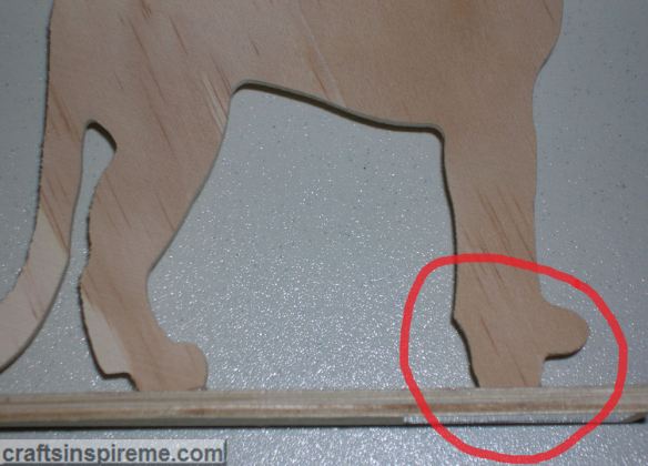 Close Up Raw Wd Cheetah