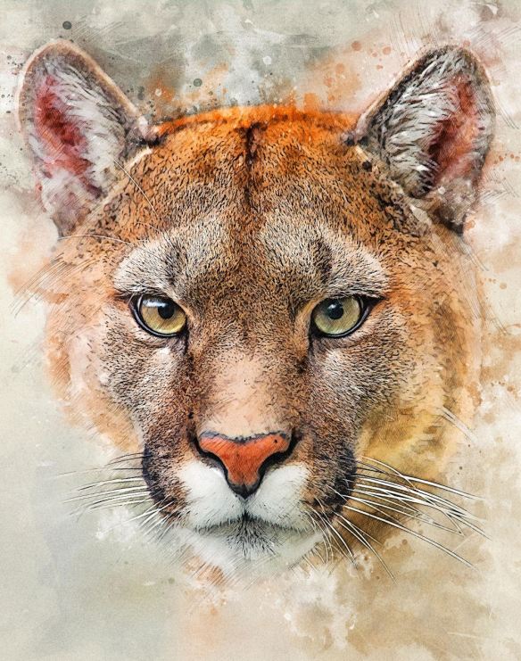 Mountain Lion Mixed Media
