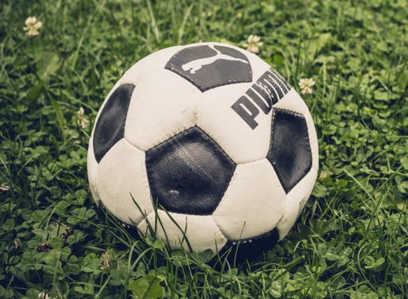 Puma Soccer Ball