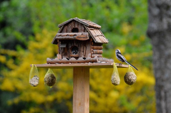 Log Cabin Bird House & Feeder