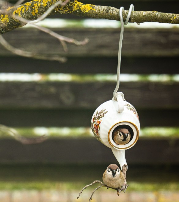Teapot Bird House