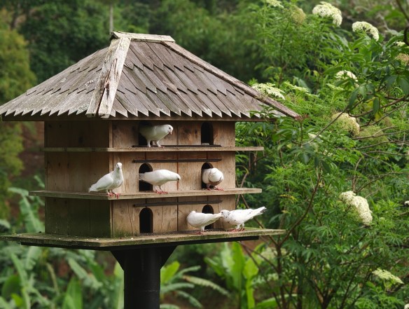 Multi Tenant Bird House