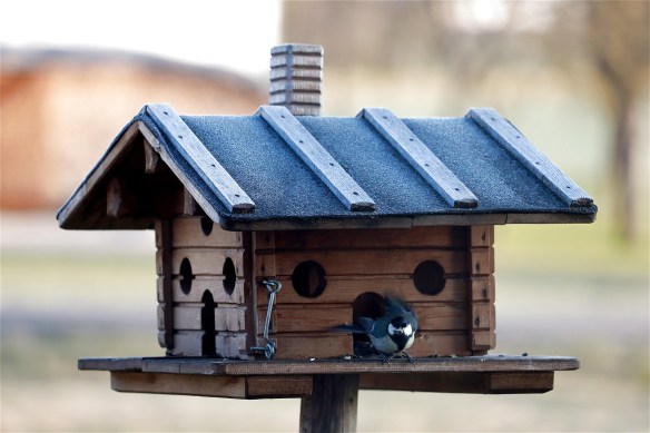 Multi Tenant Bird House