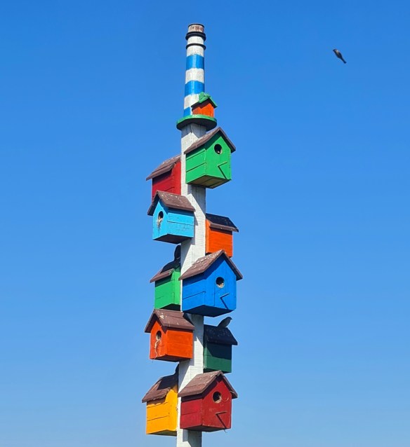 Clustered Bird Houses