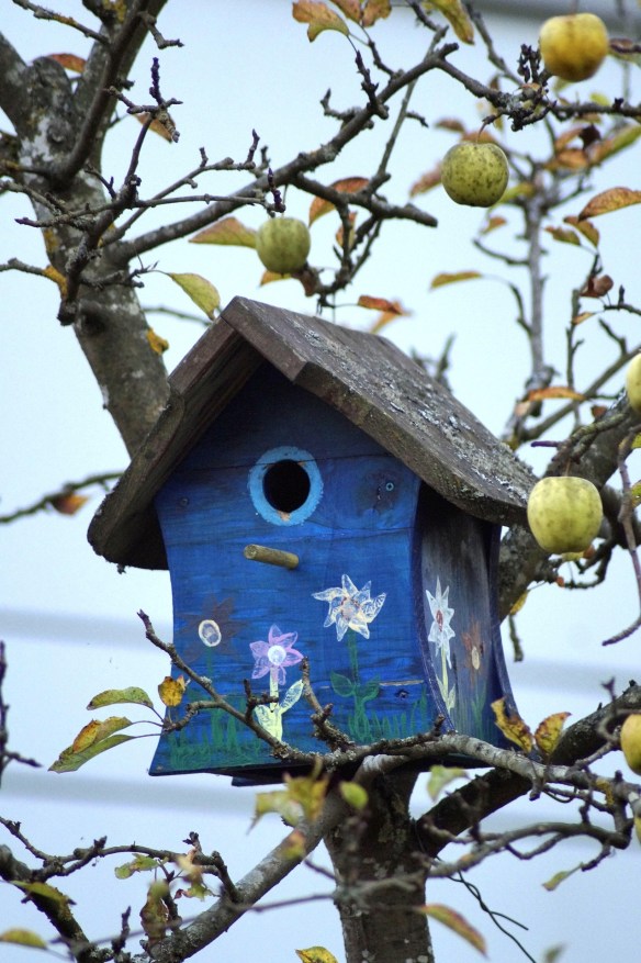 Tree Mounted Bird House