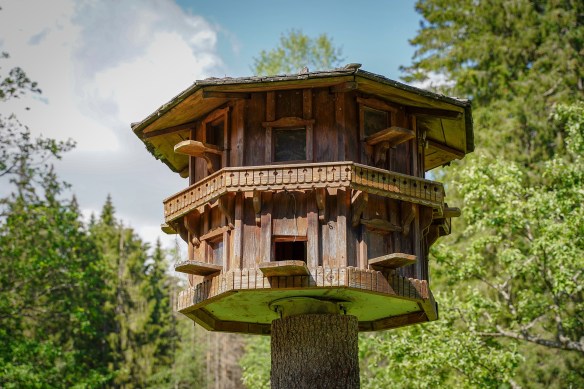 Tree Stump Bird House