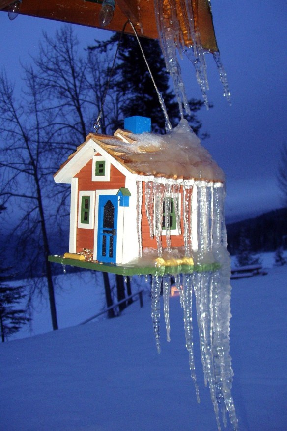 Hanging Bird House