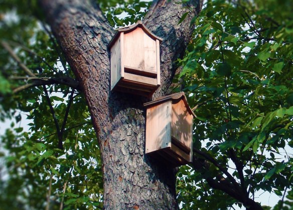 Bat Houses
