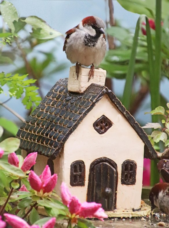 Ceramic Bird House
