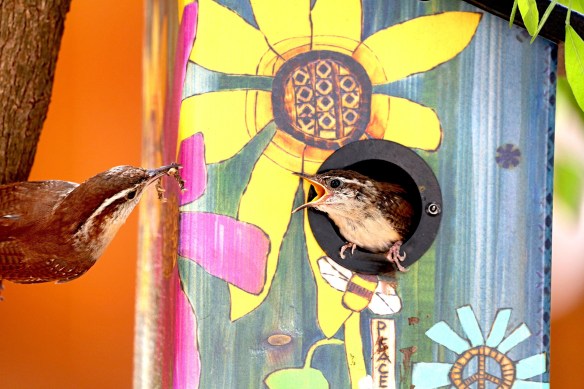 Boho Bird House