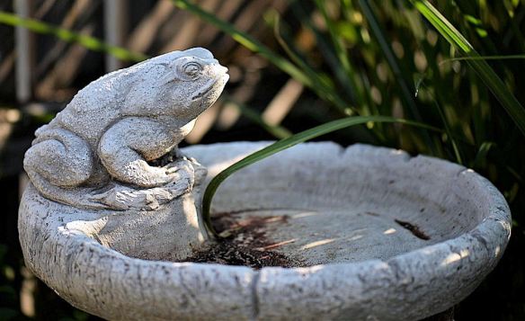 Resin Bird Bath