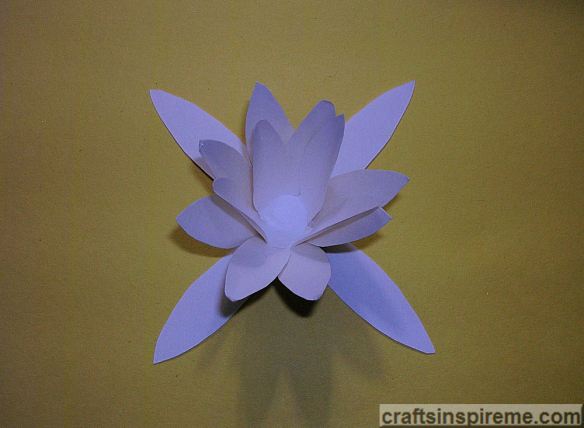 Flower View from Above