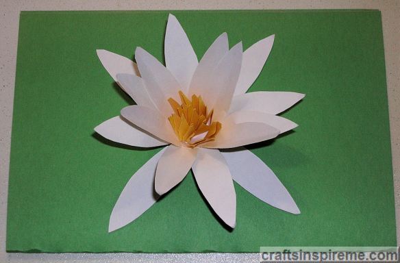 Flower Against Green