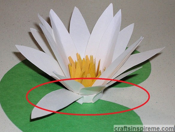Fold & Glue Base Petals to Cover Ring