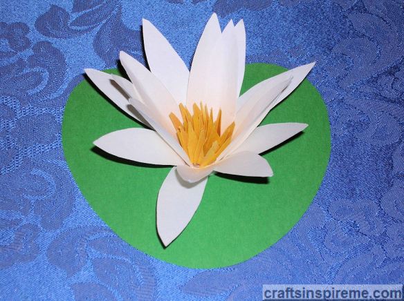 Flower & Lily Pad on Blue Cloth