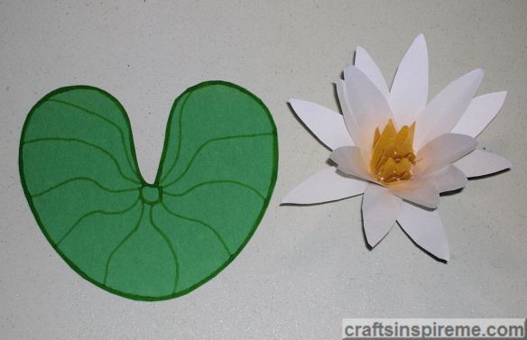 Draw Lily Pad Details
