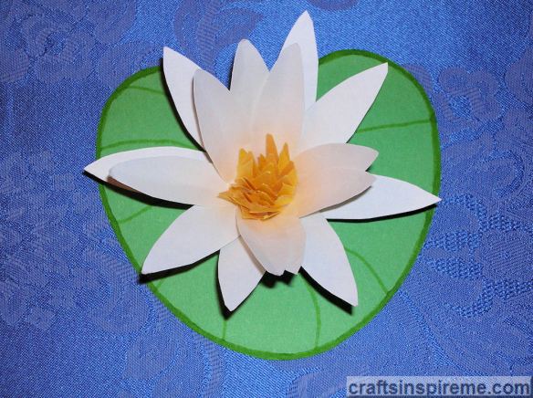 Finished Water Lily