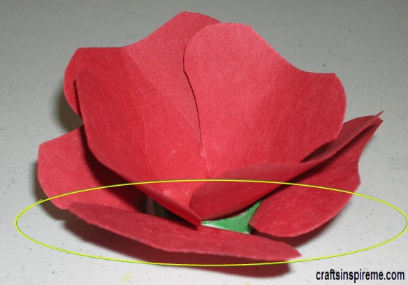 Conceal Ring & Curl Petals
