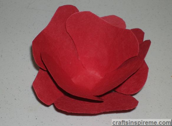 Top View Rose Progress