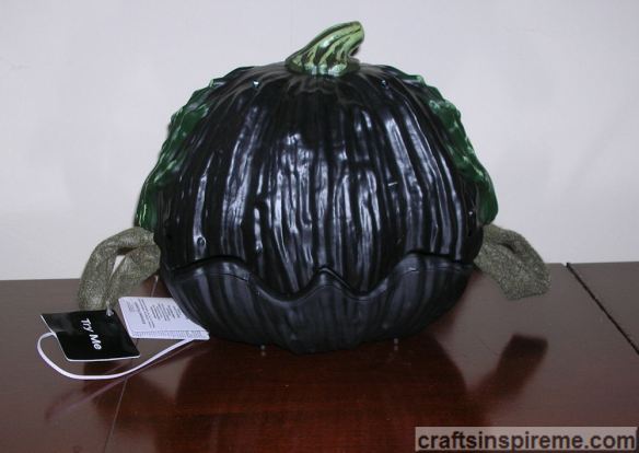 Black Pumpkin Back View