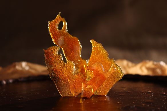 Sugar Coral/Abstract
